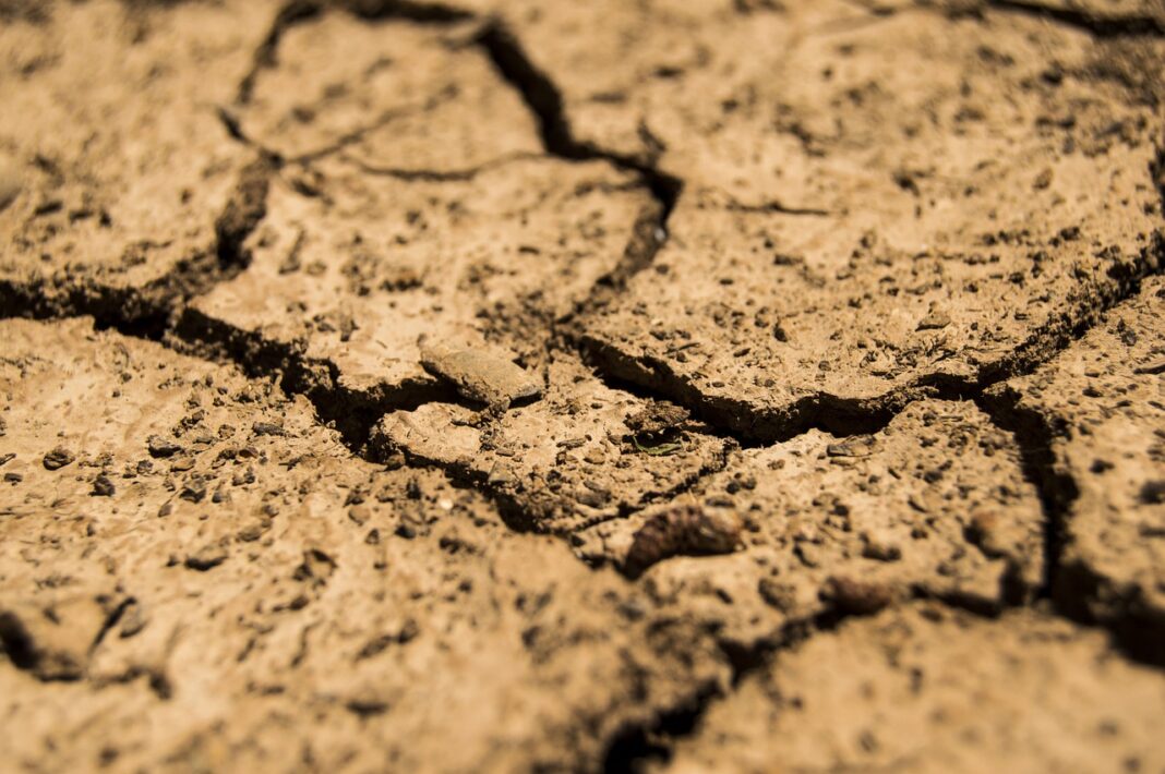 date-limite-du-depot-des-dossiers-pour-les-calamites-agricoles-secheresse date-limite-du-depot-des-dossiers-pour-les-calamites-agricoles-secheresse