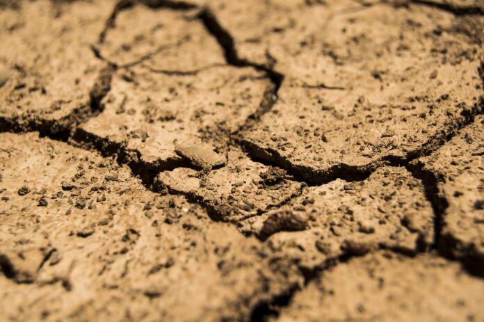 date-limite-du-depot-des-dossiers-pour-les-calamites-agricoles-secheresse