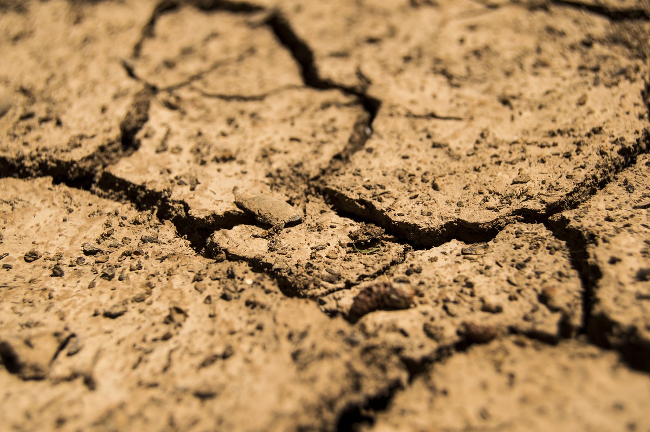 date-limite-du-depot-des-dossiers-pour-les-calamites-agricoles-secheresse