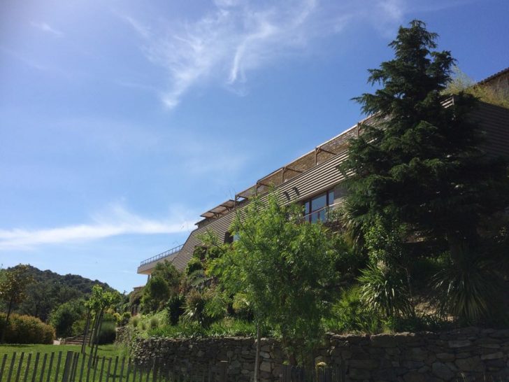riberach-menu-vegan-et-trekwine-pour-la-semaine-europeenne-du-developpement-durable