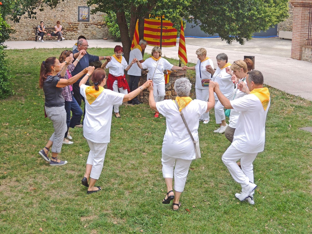 la-ceremonie-de-benediction-des-fagots-annonce-les-festivites-de-la-nit-de-sant-joan-au-soler