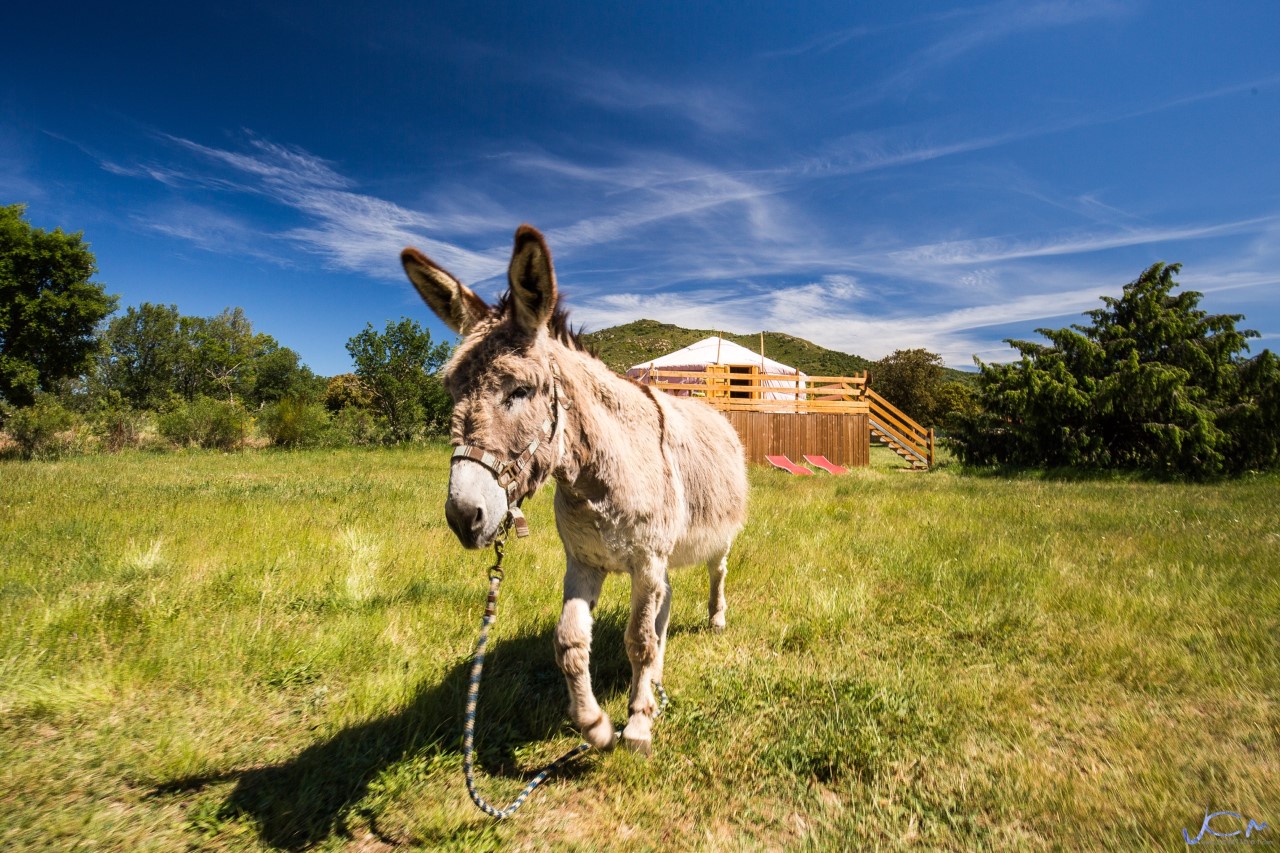 mas-cabanids-venez-decouvrir-nos-hebergements-insolites-aux-estivales-du-mas-cabanids