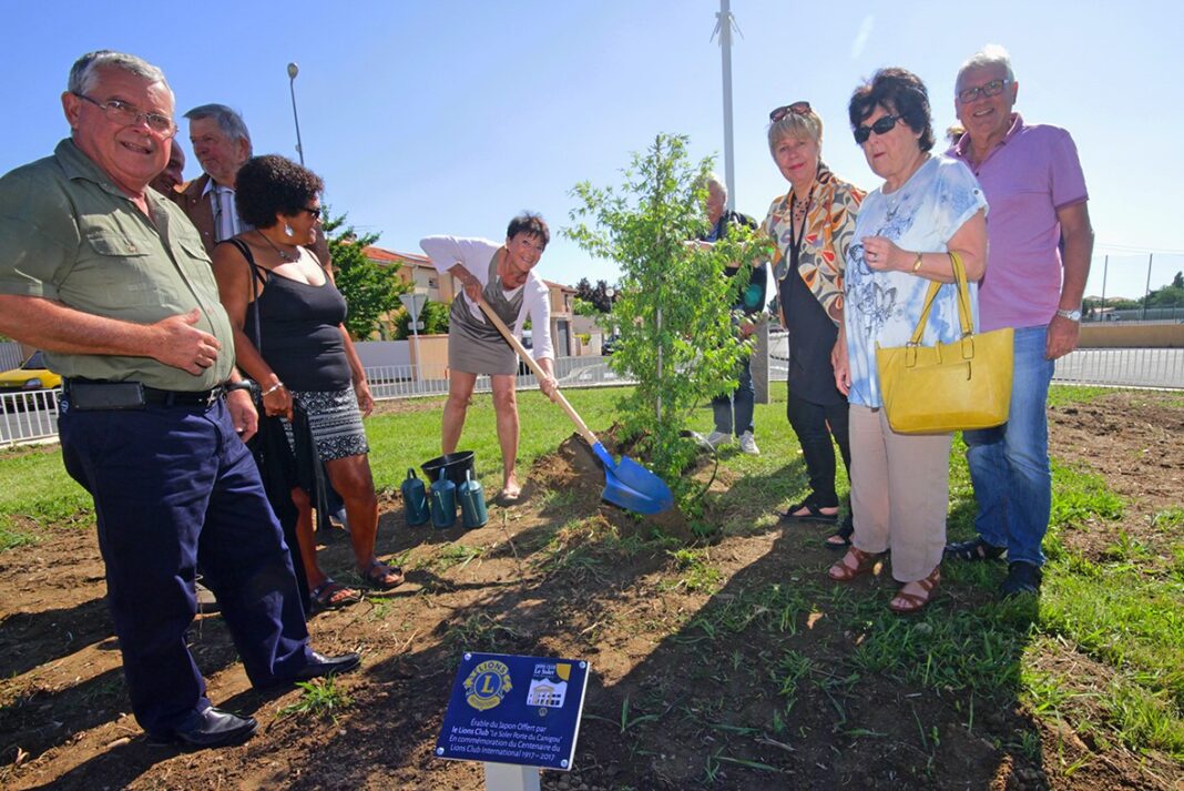 pour-feter-son-centenaire-le-lions-club-offre-un-arbre-a-la-ville-du-soler 2 pour-feter-son-centenaire-le-lions-club-offre-un-arbre-a-la-ville-du-soler
