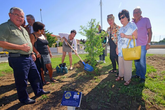 pour-feter-son-centenaire-le-lions-club-offre-un-arbre-a-la-ville-du-soler