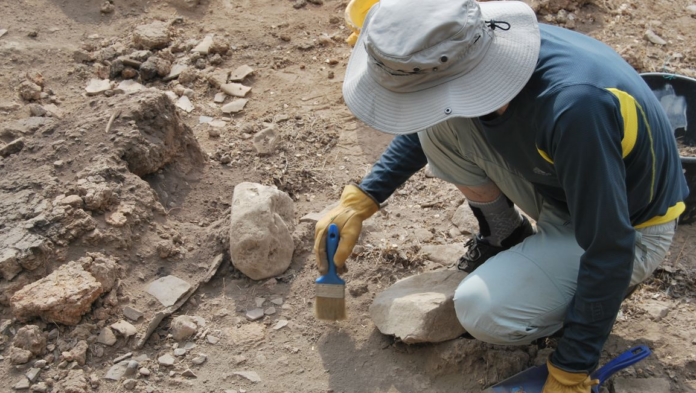 decouverte-archeologique-une-cathedrale-primitive-a-elne