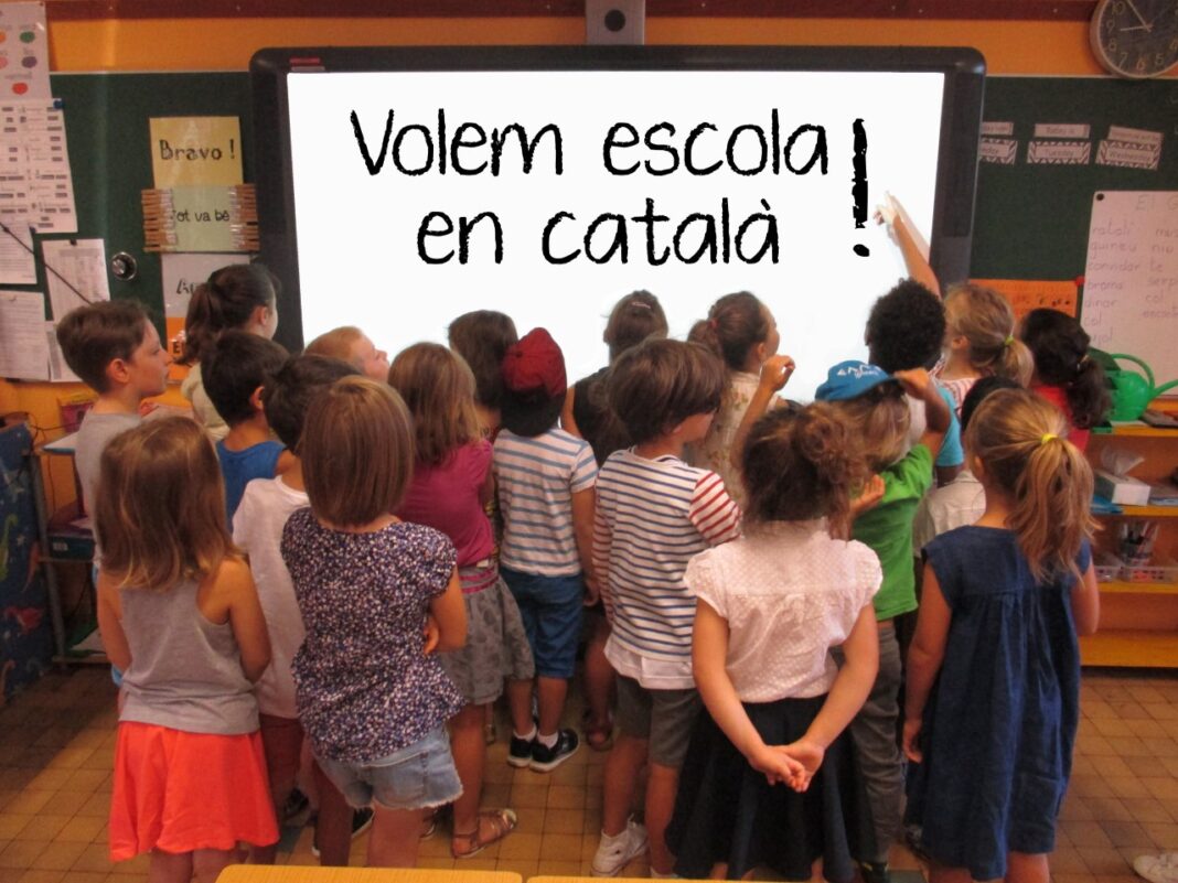 le-bilinguisme-catalan-en-primaire-menace-dans-plusieurs-ecoles-du-departement le-bilinguisme-catalan-en-primaire-menace-dans-plusieurs-ecoles-du-departement