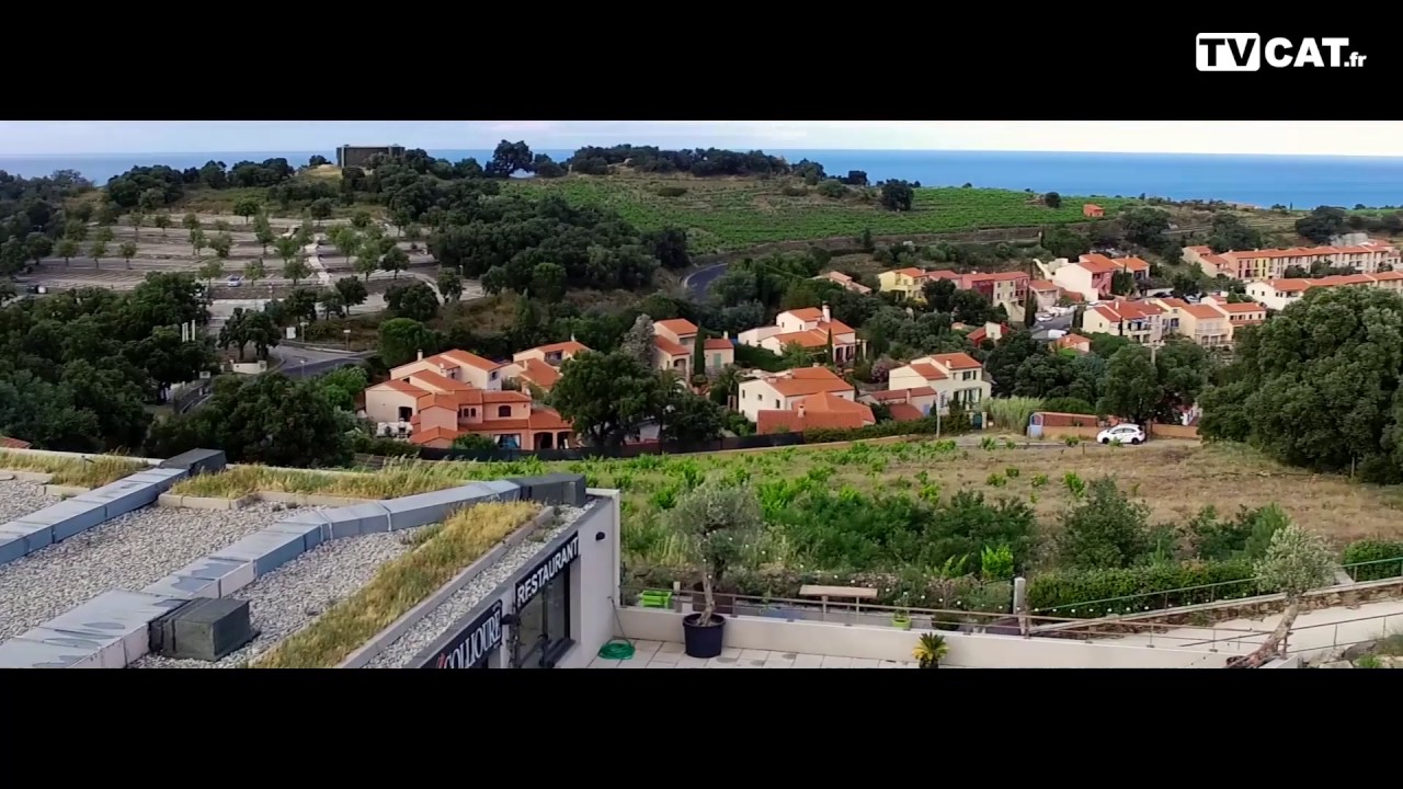Sur les hauteurs de la ville, L’Amphore de Collioure vous accueille à l’année dans un cadre d’exception