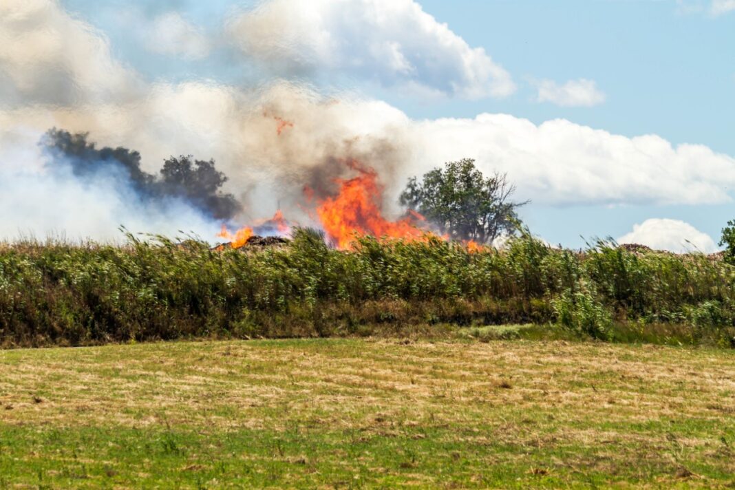 violent-incendie-entre-montescot-elne-et-ortaffa violent-incendie-entre-montescot-elne-et-ortaffa
