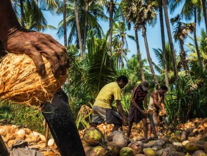 le-documentaire-ckdu-ou-mourir-sans-raison-au-cinema-castillet-le-7-septembre