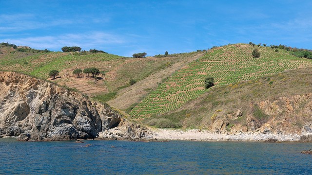 cap-sur-letoile