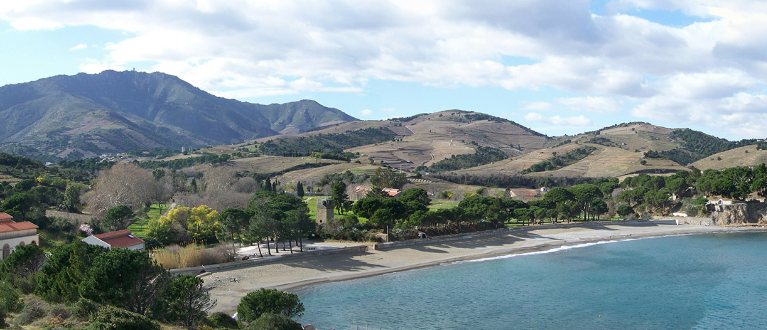 lactu-culturelle-dans-les-pyrenees-orientales