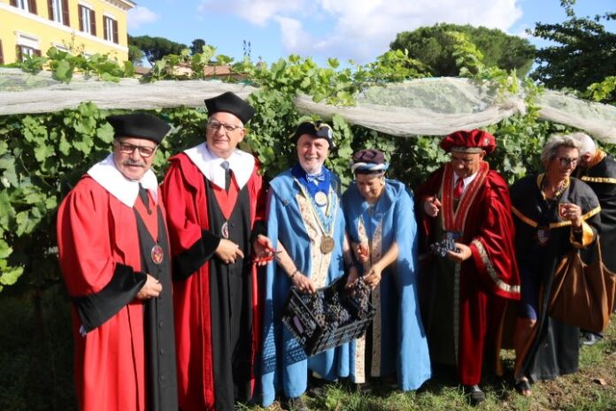 leucate-representee-aux-vendanges-a-rome