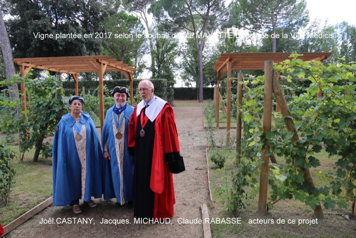 leucate-representee-aux-vendanges-a-rome