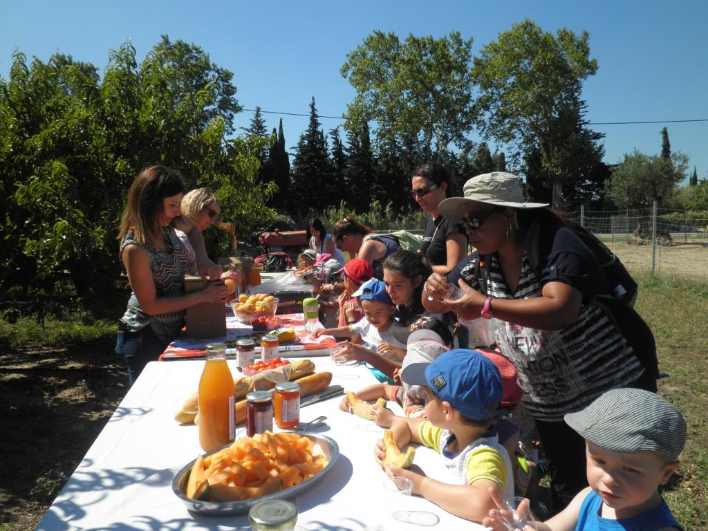 alberes-cote-vermeille-illiberis-le-relais-dassistantes-maternelles-ram-communautaire-a-votre-service