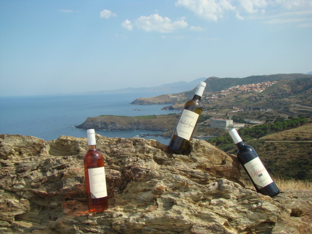 domaine-tambour-la-newsletter-de-novembre domaine-tambour-la-newsletter-de-novembre