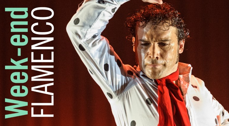 week-end-flamenco-avec-andres-pena