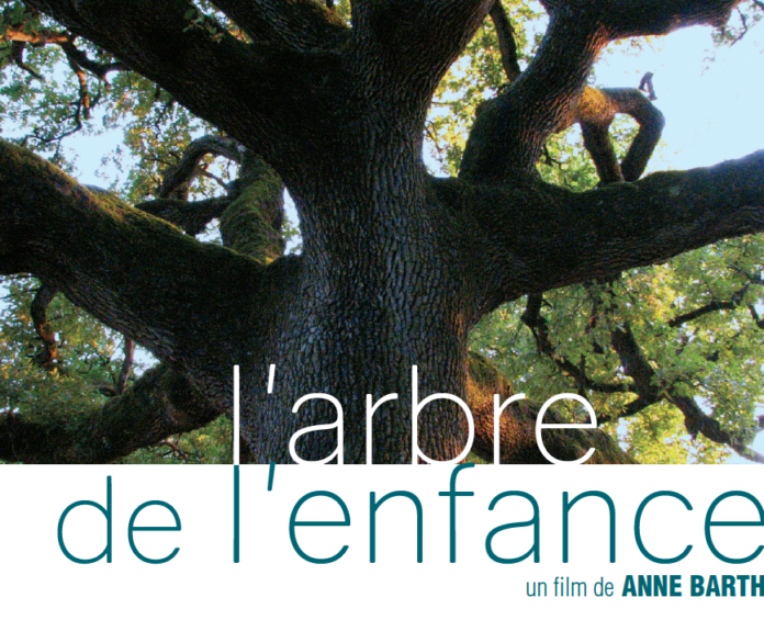 cine-rencontre-larbre-de-lenfance-de-anne-barth