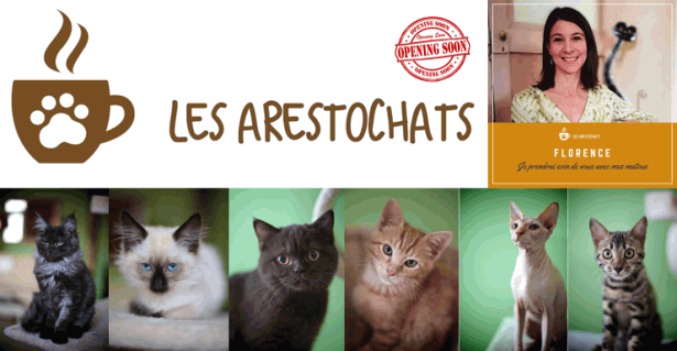 ouverture-dun-bar-a-chats