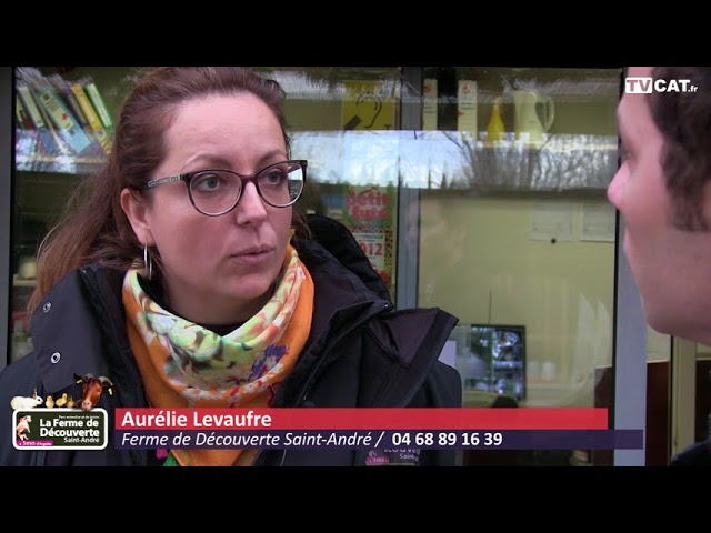 La Ferme de découverte de Saint-André propose un atelier « Viens décorer ton masque de Carnaval » pour les enfants