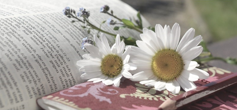 jardins-et-poesie-la-visite-guidee-insolite-et-exceptionnelle-de-perpignan-tourisme