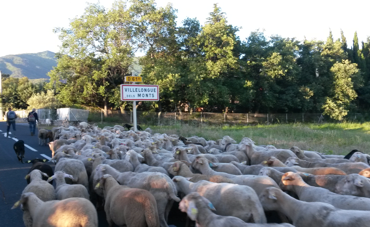 acquisition-collective-et-citoyenne-de-la-bergerie-de-villelongue-dels-monts-par-le-mouvement-terre-de-liens