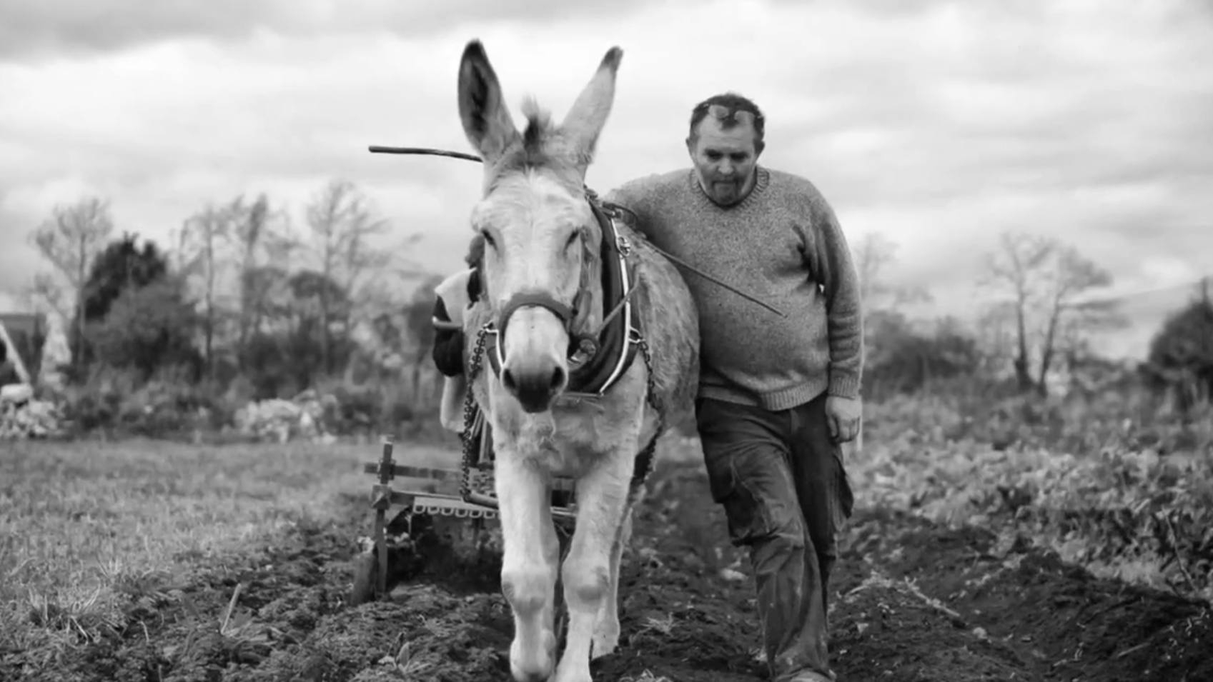 du-tracteur-a-lane-une-conference-gesticulee
