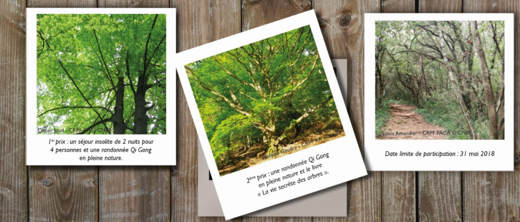 lancement-du-concours-photo-les-arbres-extraordinaires-de-la-vallee-de-lagly2 lancement-du-concours-photo-les-arbres-extraordinaires-de-la-vallee-de-lagly
