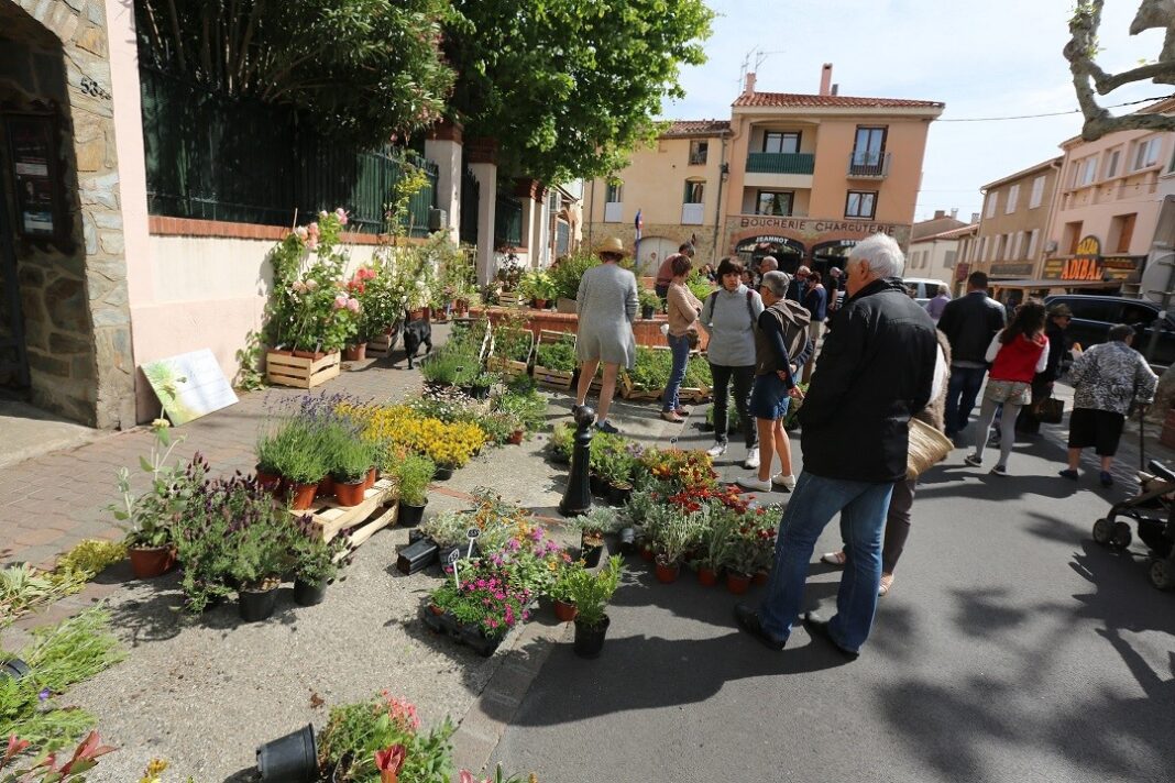 les-jardins-sont-en-fete-le-dimanche-6-mai-a-argeles-sur-mer2 les-jardins-sont-en-fete-le-dimanche-6-mai-a-argeles-sur-mer