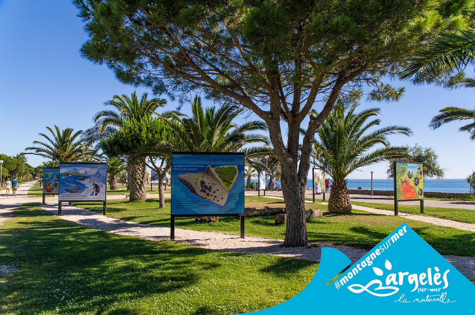 argeles-photo-nature-10-ans-pour-lexposition-des-enfants-de-la-mer-a-argeles-sur-mer