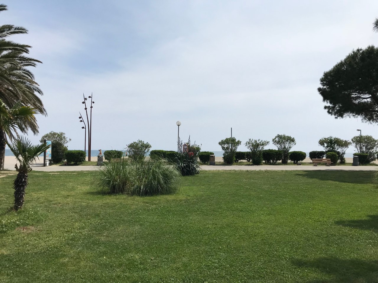 enlevez-tous-ces-fusains-sur-la-plage-qui-empechent-de-voir-la-mer