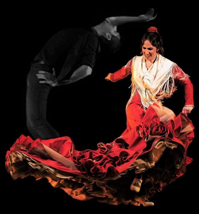 spectacle-flamenco-avec-alexandre-romero-firma-flamenca