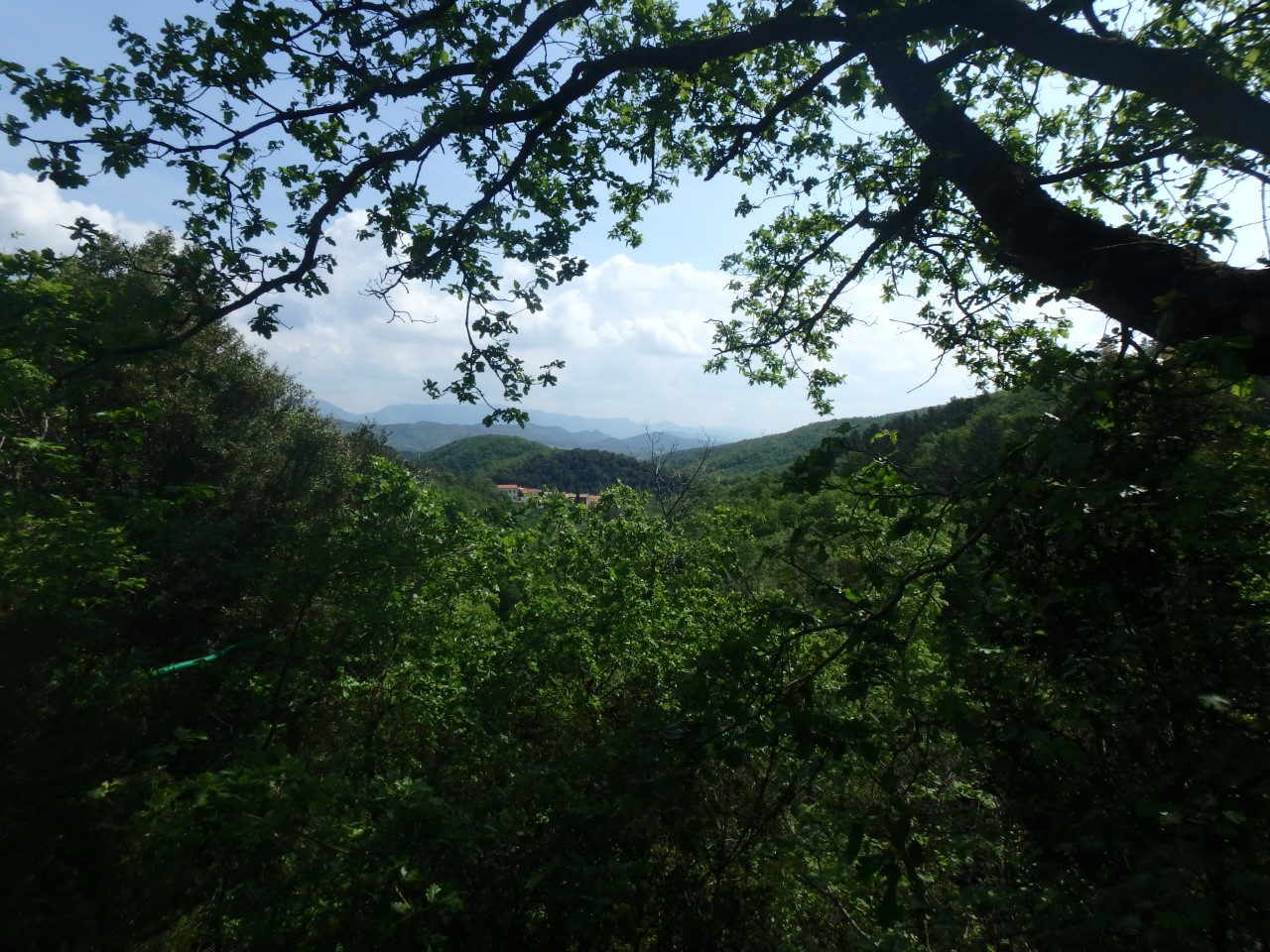 viree-a-vira-promenons-nous-dans-les-bois-du-fenouilledes
