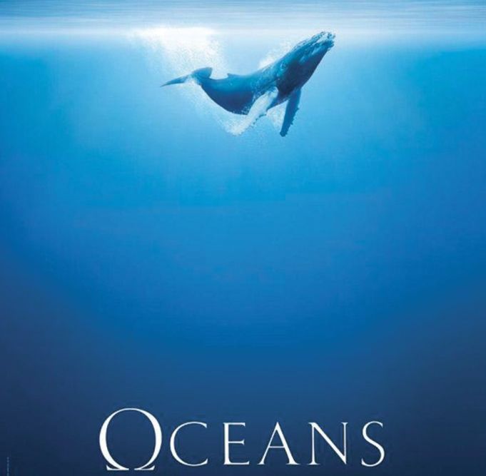 cine-plage-jacques-perrin-et-son-film-oceans-sur-la-plage-saint-vincent-a-collioure-le-21-juillet