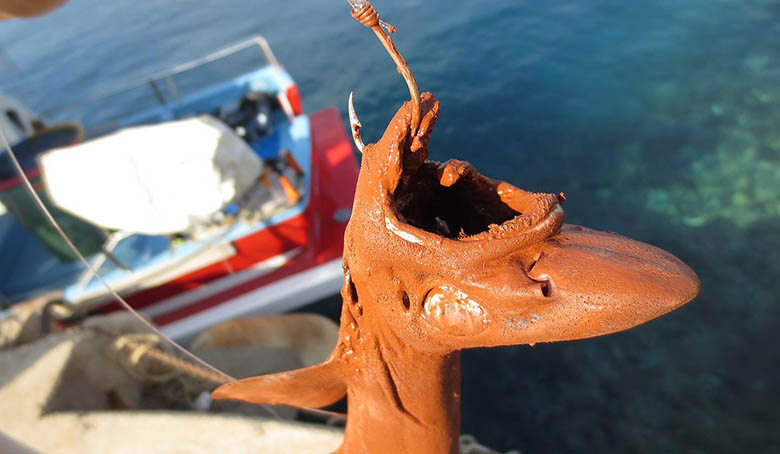 rejets-polluants-en-mediterranee-surfrider-foundation-europe-souligne-une-victoire-en-demi-teinte-face-a-la-reformation-de-larrete-alteo