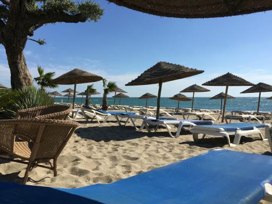 saint-cyprien-1er-partenaire-tripadvisor-de-la-region