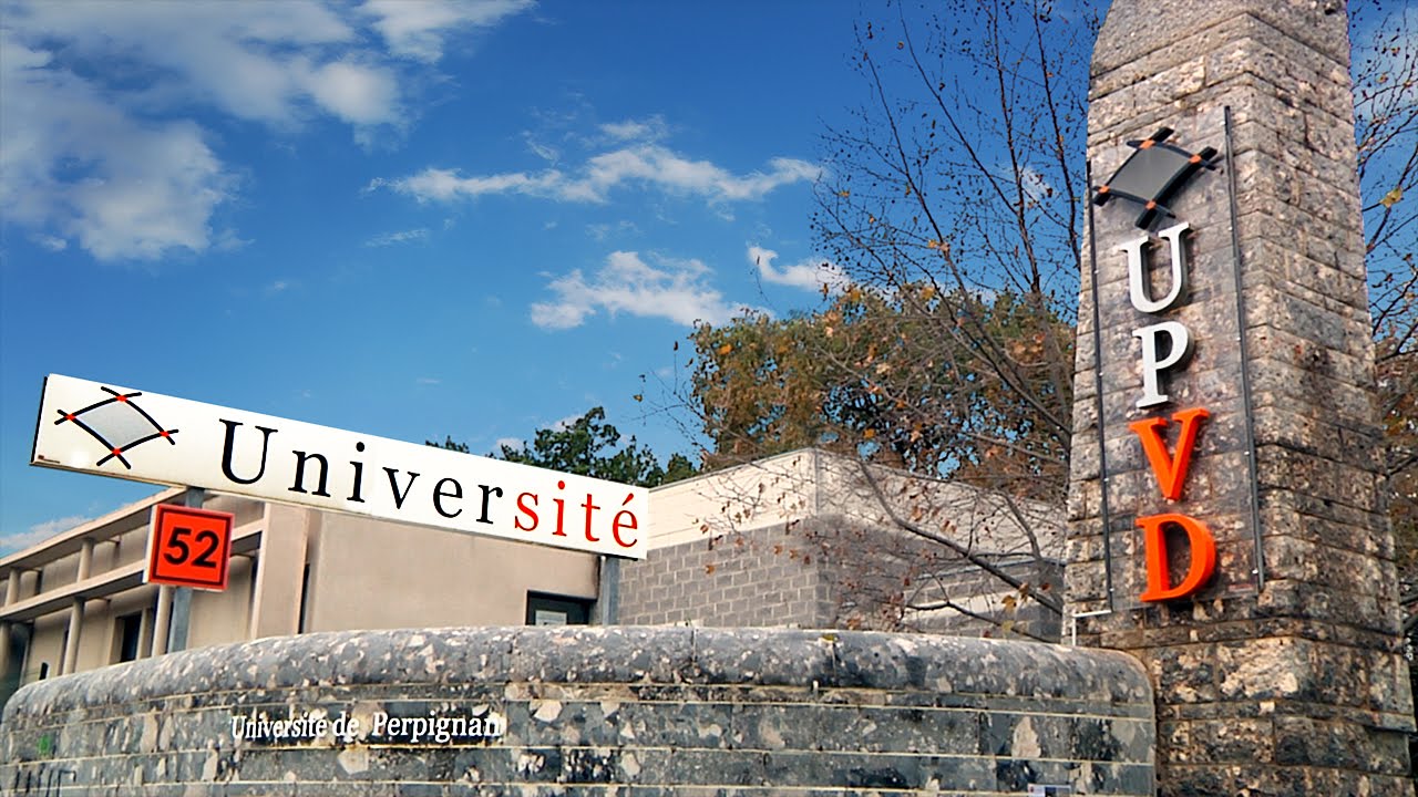 upvd-decouvrez-le-projet-life-long-learning-lll-transversalis