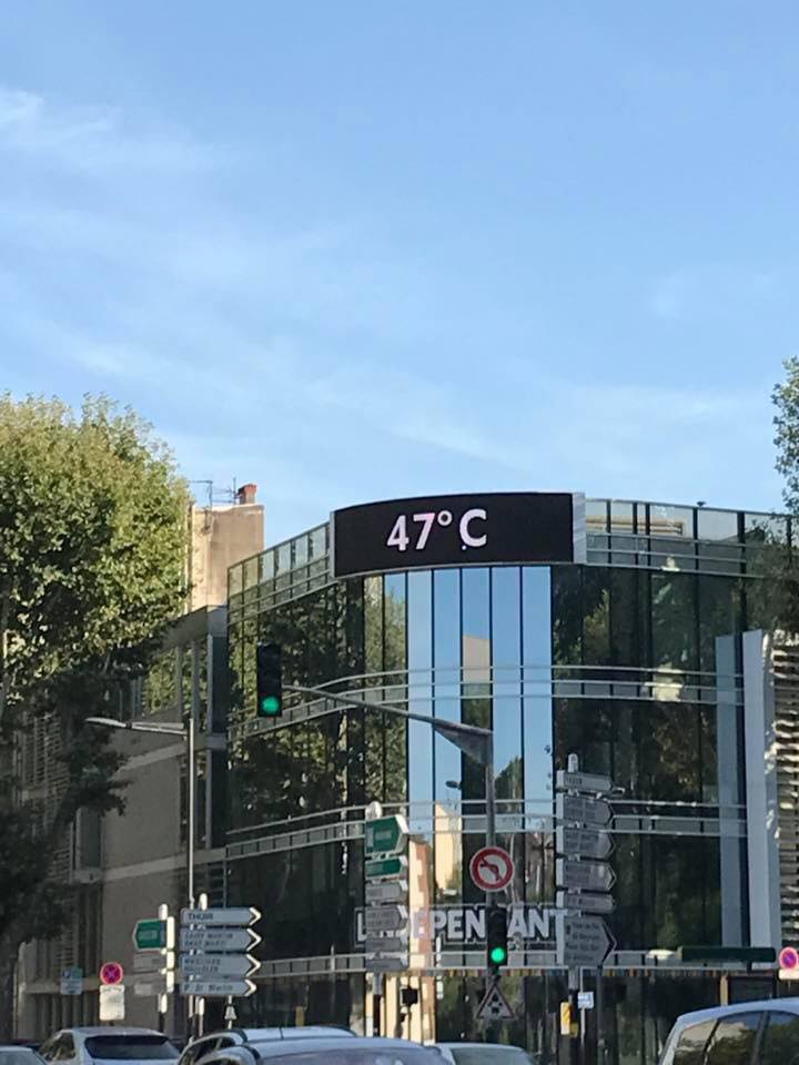 Face à la canicule : végétalisation urbaine