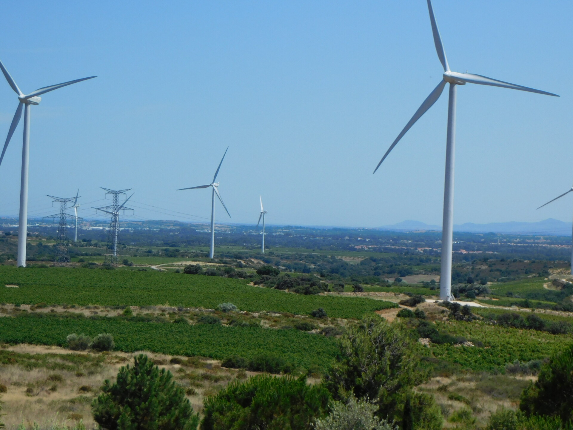 Estagel : le projet éolien