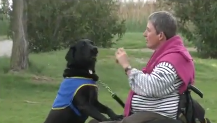 ceremonie-officielle-de-remise-de-chiens-dassistance-avec-la-catalane-handichiens-ce-27-octobre-a-canet2