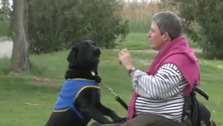 ceremonie-officielle-de-remise-de-chiens-dassistance-avec-la-catalane-handichiens-ce-27-octobre-a-canet2