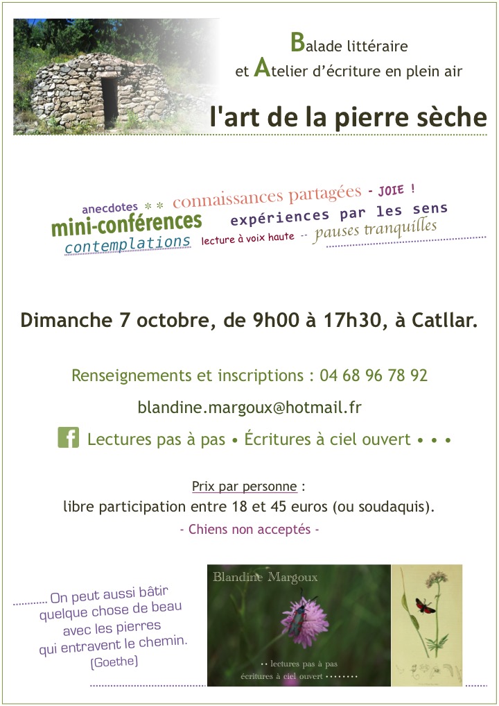 des-lectures-pas-a-pas-a-lexposition-de-muriel-valat-b