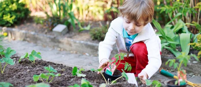 des-potagers-dans-les-recres