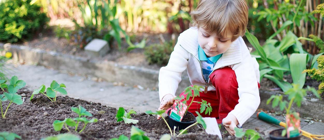 des-potagers-dans-les-recres