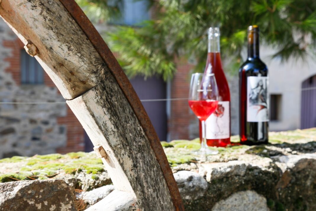 du-terroir-a-lhistoire-journee-decouverte-vini-patrimoniale-dans-le-fenouilledes du-terroir-a-lhistoire-journee-decouverte-vini-patrimoniale-dans-le-fenouilledes