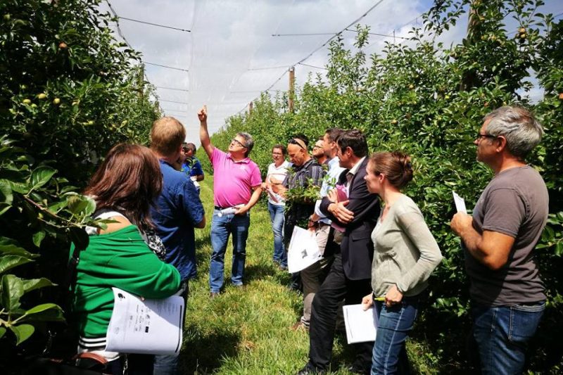 innovaction-2018-un-agriculteur-des-pyrenees-orientales-ouvre-les-portes-de-son-exploitation-le-17-octobre-a-rivesaltes