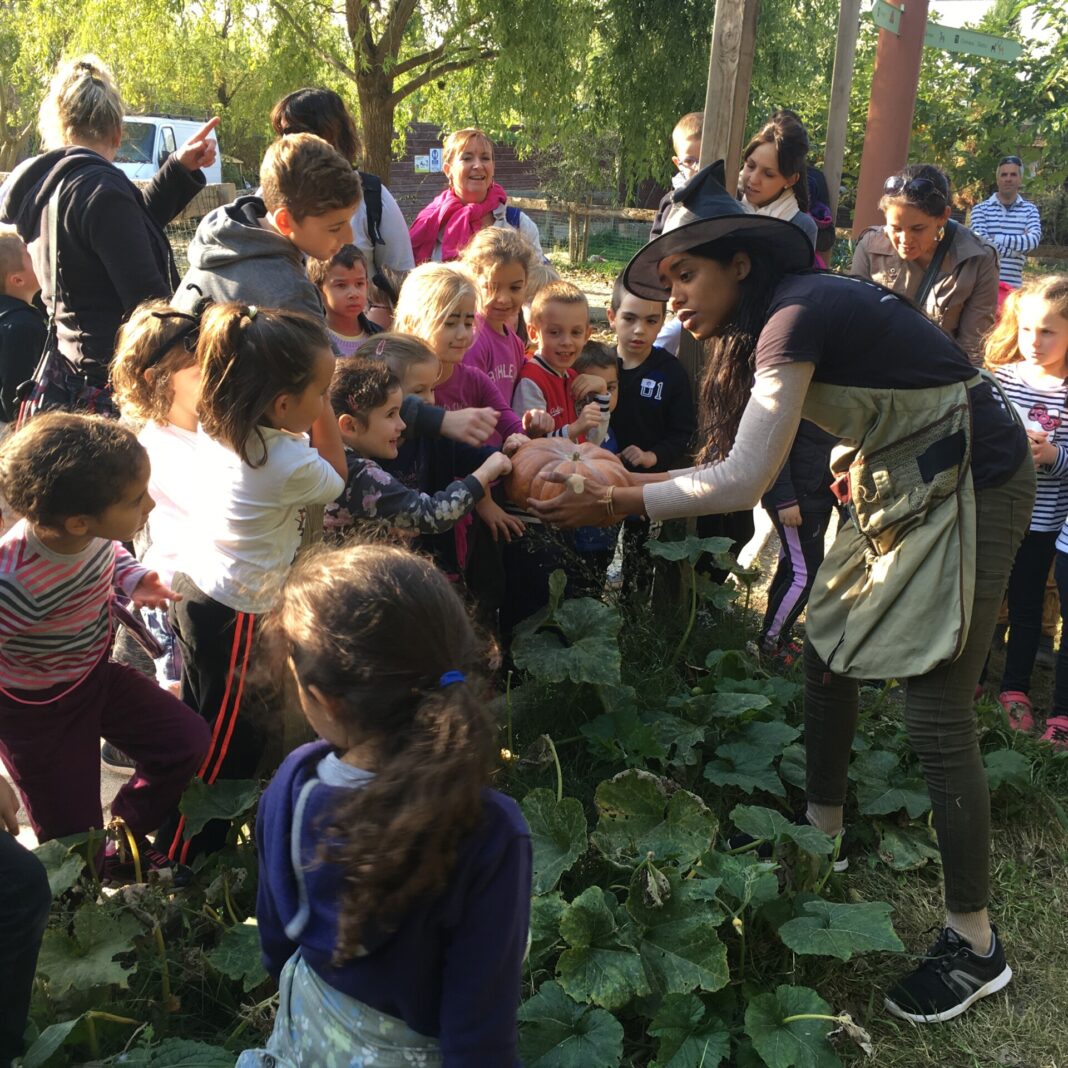 La Ferme de Découverte SAint-André fête de la citrouille 2018 la-ferme-de-decouverte-saint-andre-loccasion-de-soffrir-un-peu-de-nature