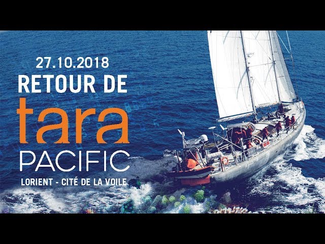 Expédition scientifique TARA PACIFIC : mission accomplie !