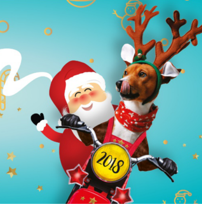 a-saint-esteve-un-noel-a-tout-berzingue