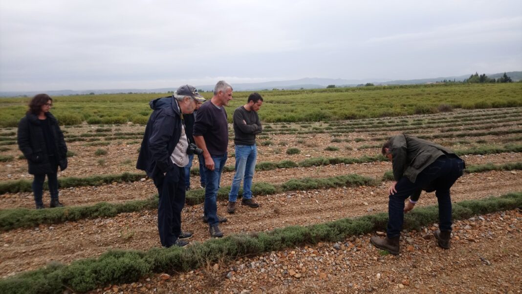 innovaction-2018-1100-visiteurs-dans-les-20-fermes-innovantes-avec-les-chambres-dagriculture-doccitanie innovaction-2018-1100-visiteurs-dans-les-20-fermes-innovantes-avec-les-chambres-dagriculture-doccitanie