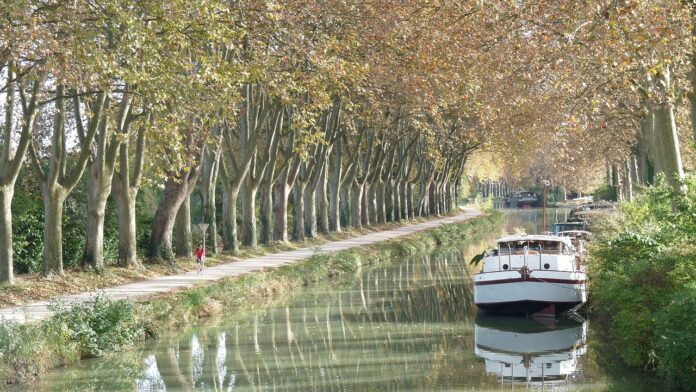 le-rotary-sengage-durablement-pour-la-replantation-du-canal-du-midi